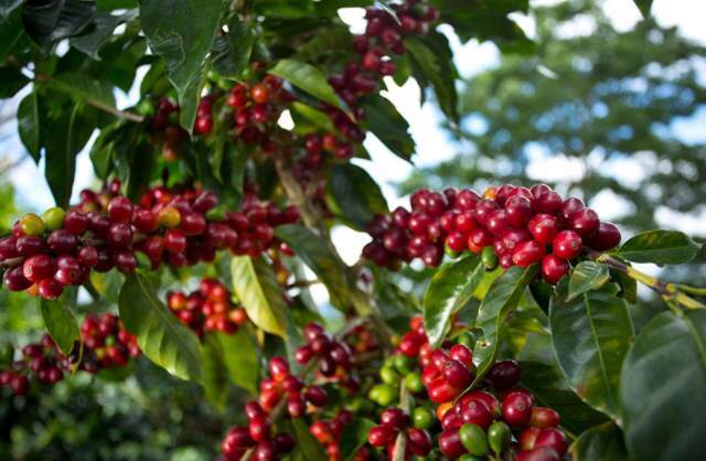 다운로드 (10).jpg