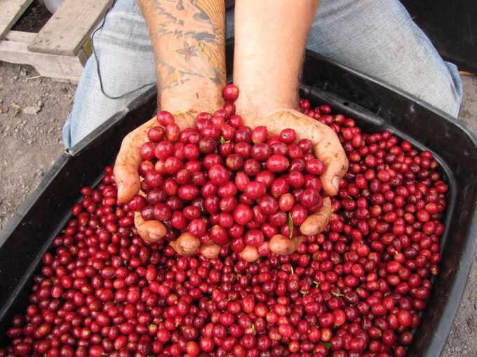 다운로드 (6).jpg