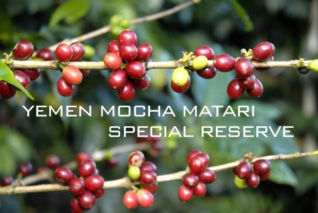 다운로드 (4).jpg