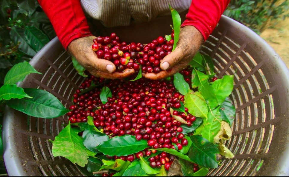 다운로드 (2).jpg