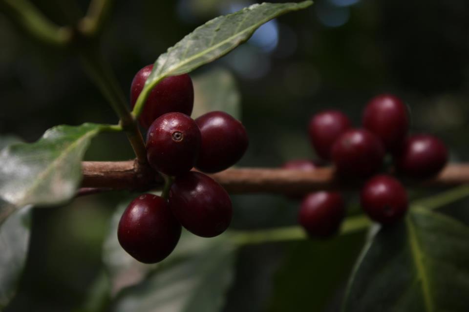 다운로드 (14).jpg