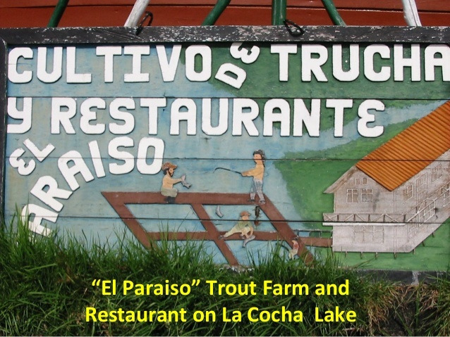 다운로드 (5).jpg