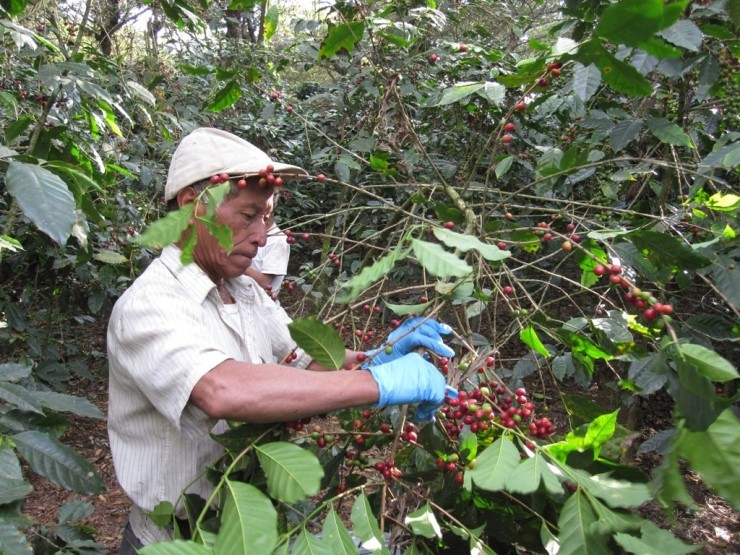 다운로드 (5).jpg