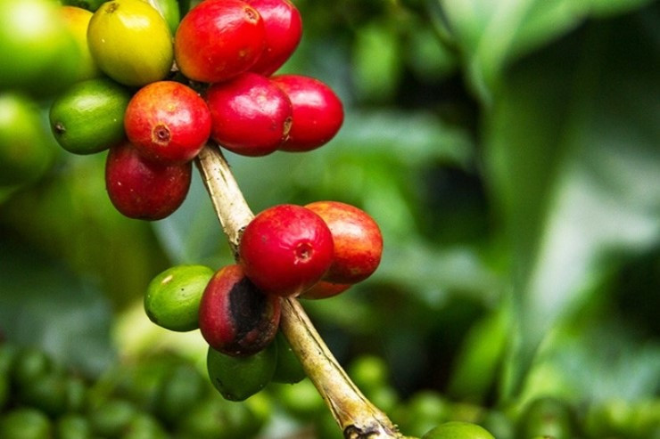 다운로드 (5).jpg