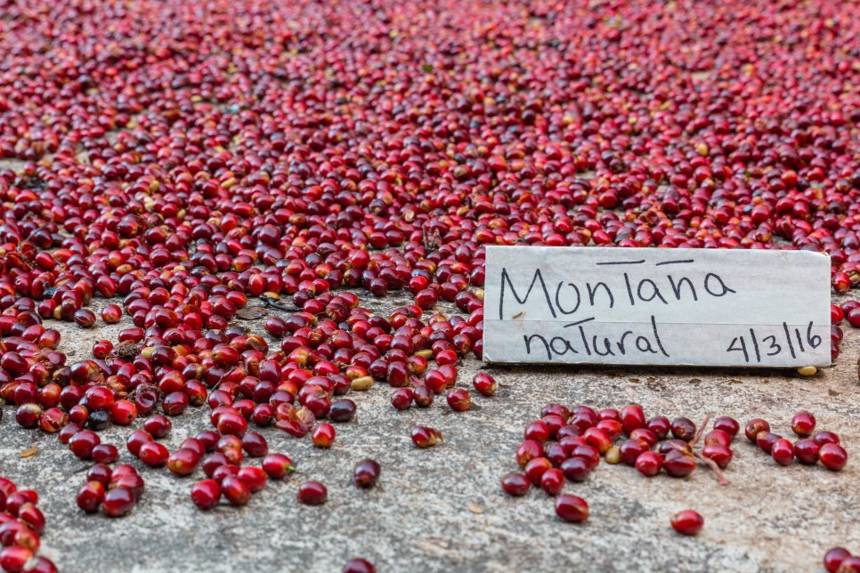 다운로드 (11).jpg