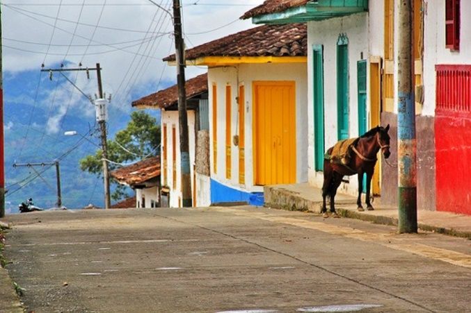 다운로드 (2).jpg