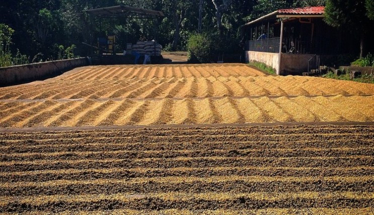 다운로드 (13).jpg