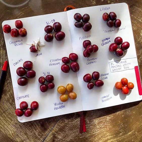 다운로드 (8).jpg