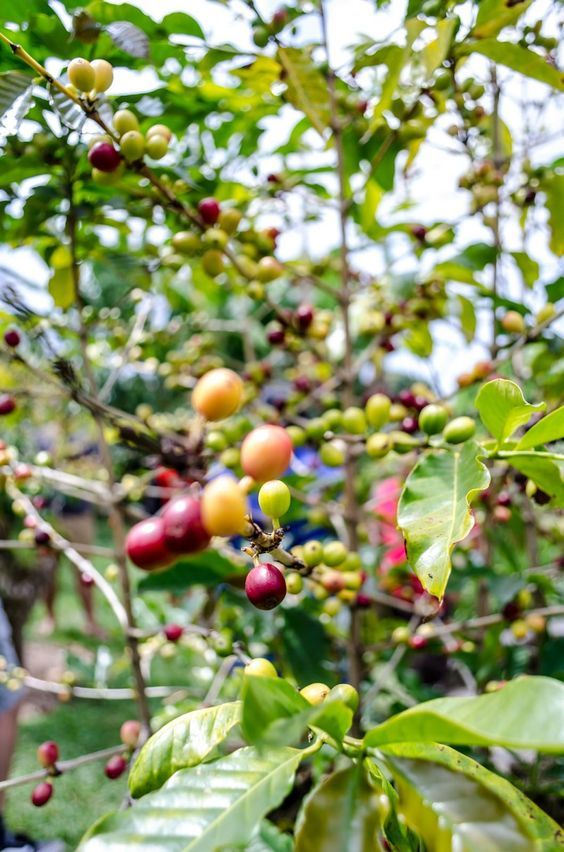 다운로드 (7).jpg