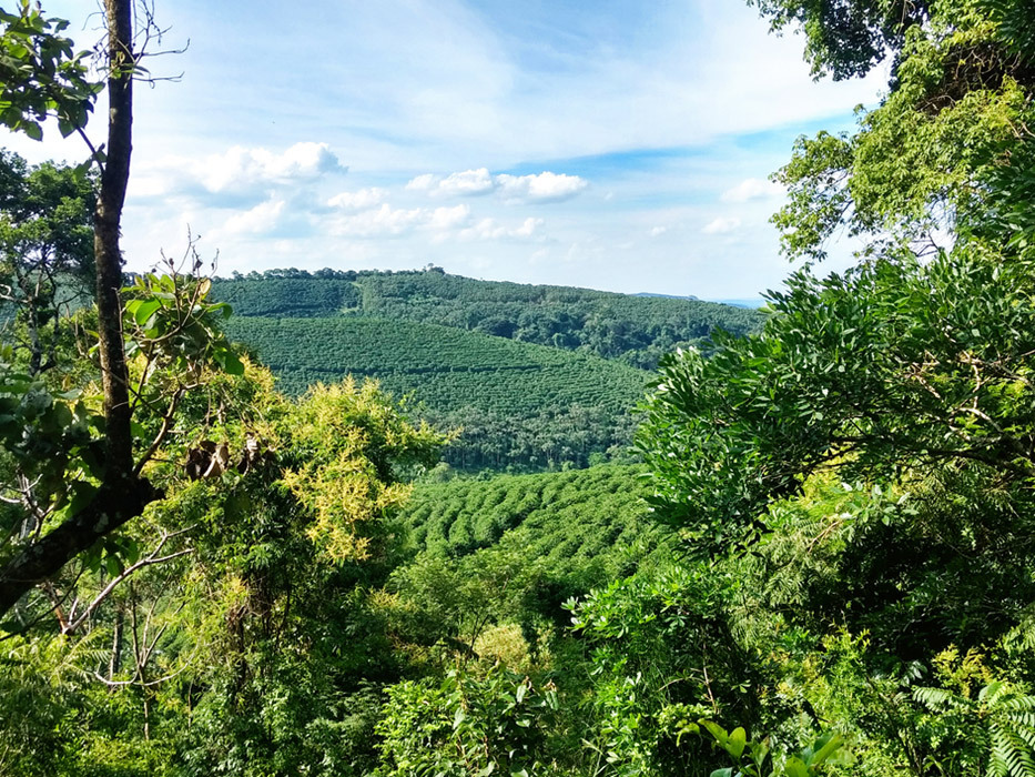 다운로드 (4).jpg