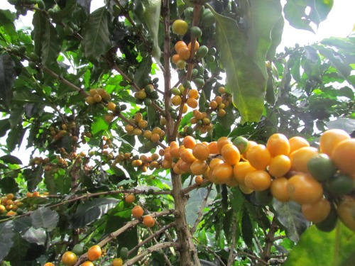 다운로드 (6).jpg