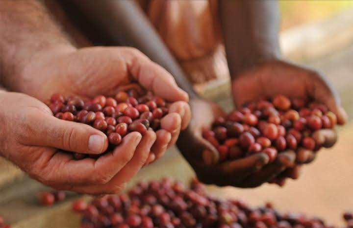 다운로드 (5).jpg