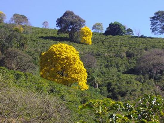 다운로드 (7).jpg