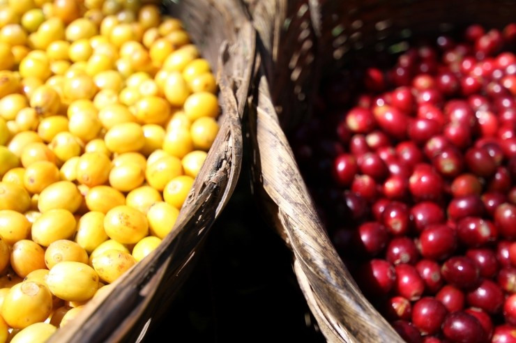 다운로드 (4).jpg