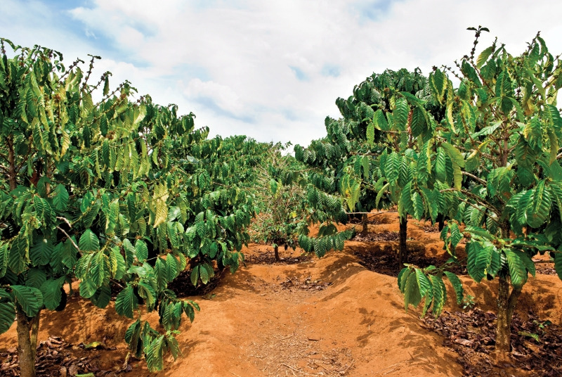 다운로드 (4).jpg