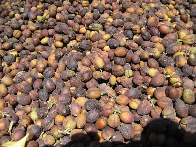 다운로드 (13).jpg