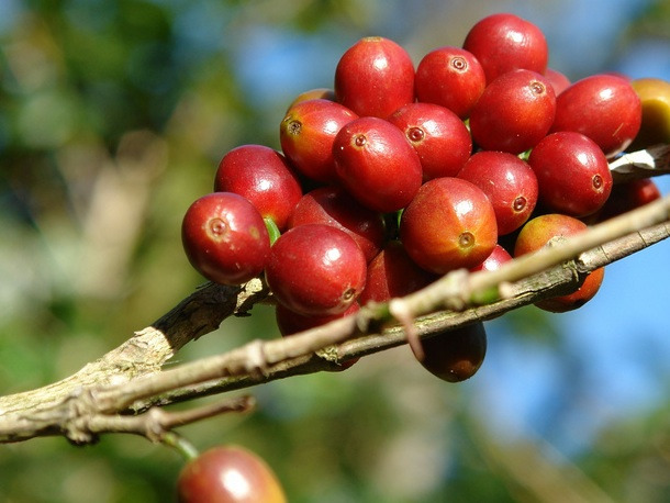 다운로드 (9).jpg