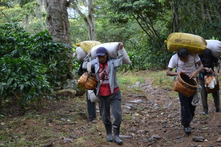 다운로드 (2).jpg