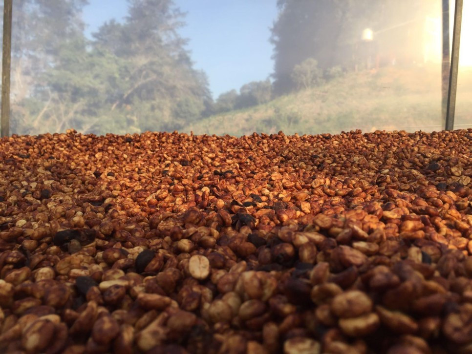 다운로드 (12).jpg