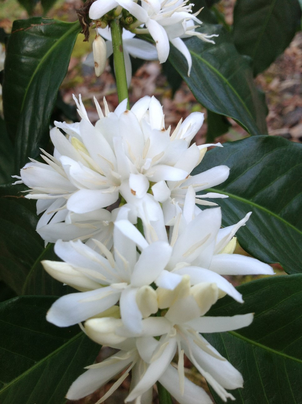 다운로드 (12).jpg