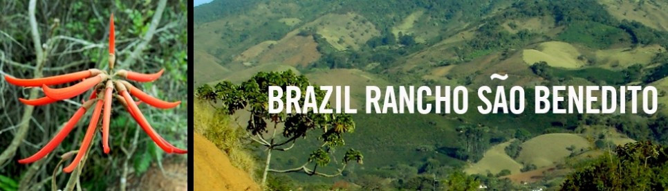 다운로드 (9).jpg