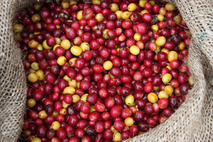 다운로드 (3).jpg