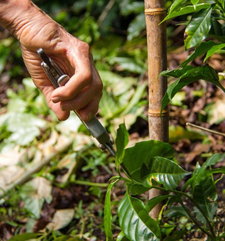 다운로드 (11).jpg