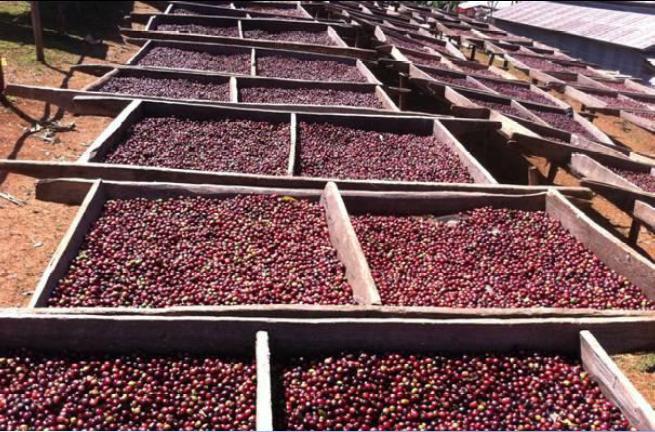 다운로드 (16).jpg