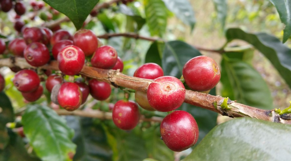 다운로드 (4).jpg