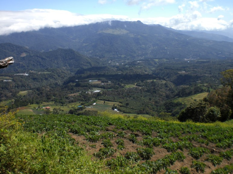 다운로드 (8).jpg