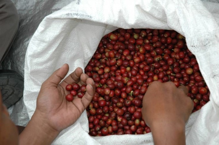 다운로드 (10).jpg