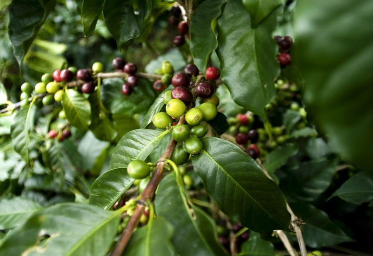 다운로드 (8).jpg