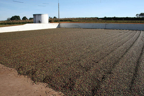 다운로드 (7).jpg