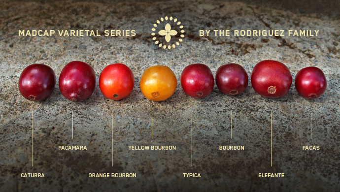 다운로드 (2).jpg