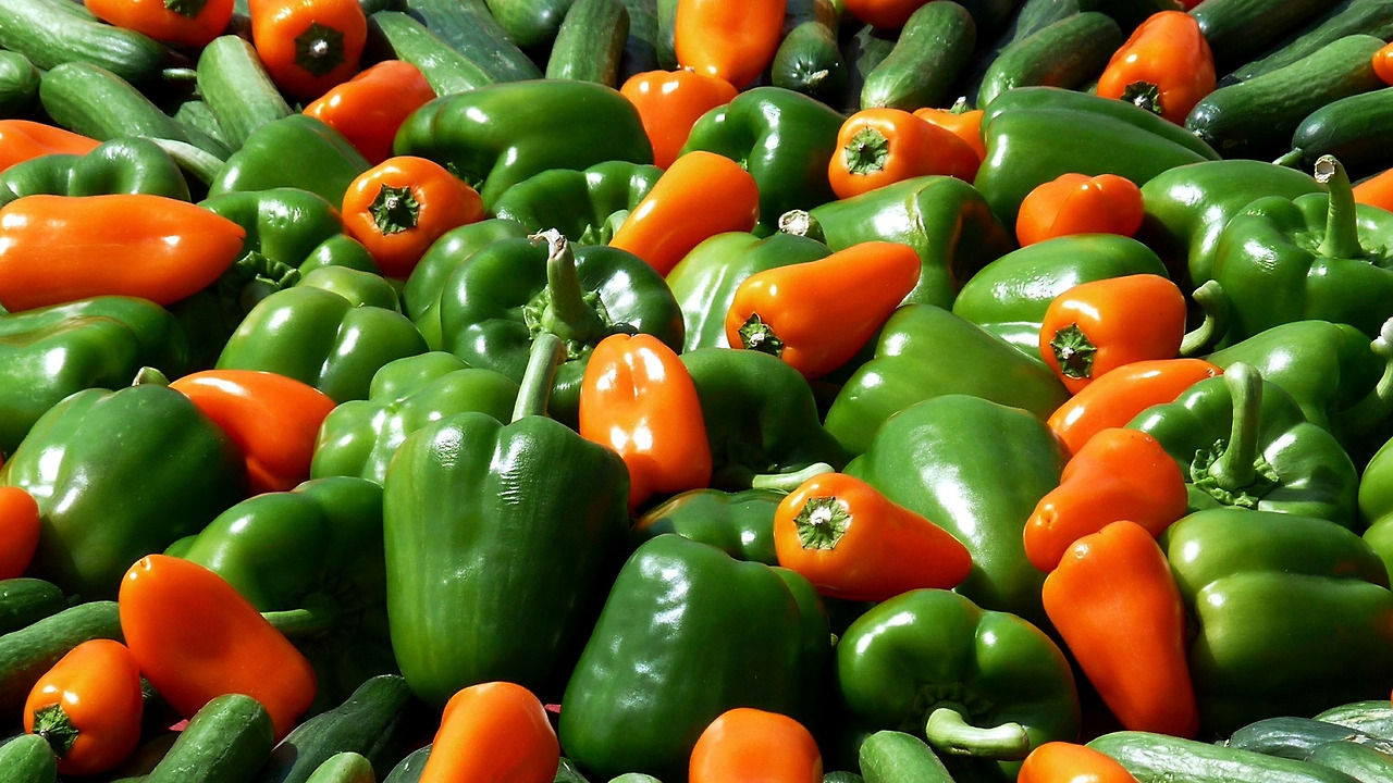 논리 유추 발상법 생각법 2.jpg