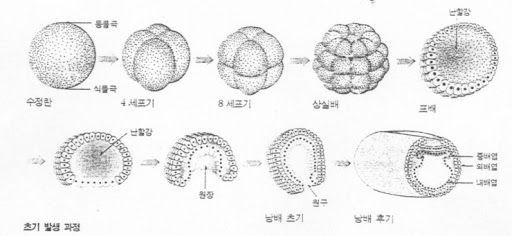 11차 논리적 글쓰기.jpg