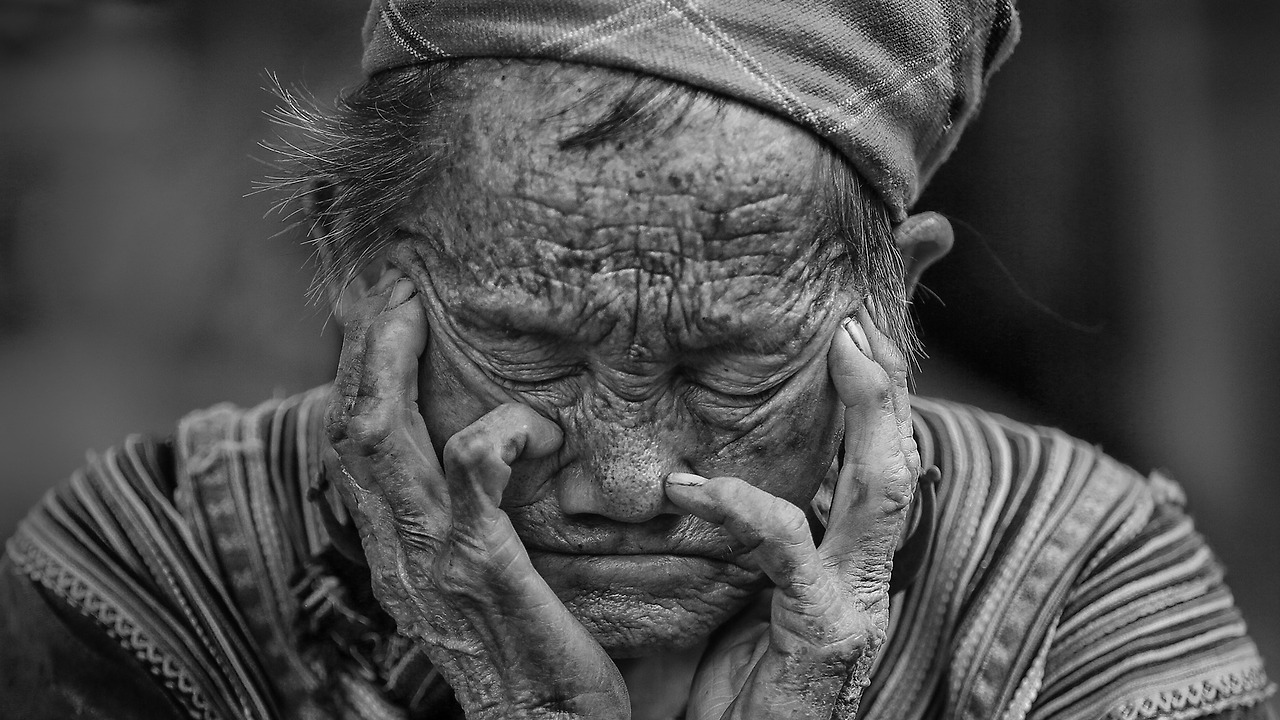 호시 신이치 3.jpg