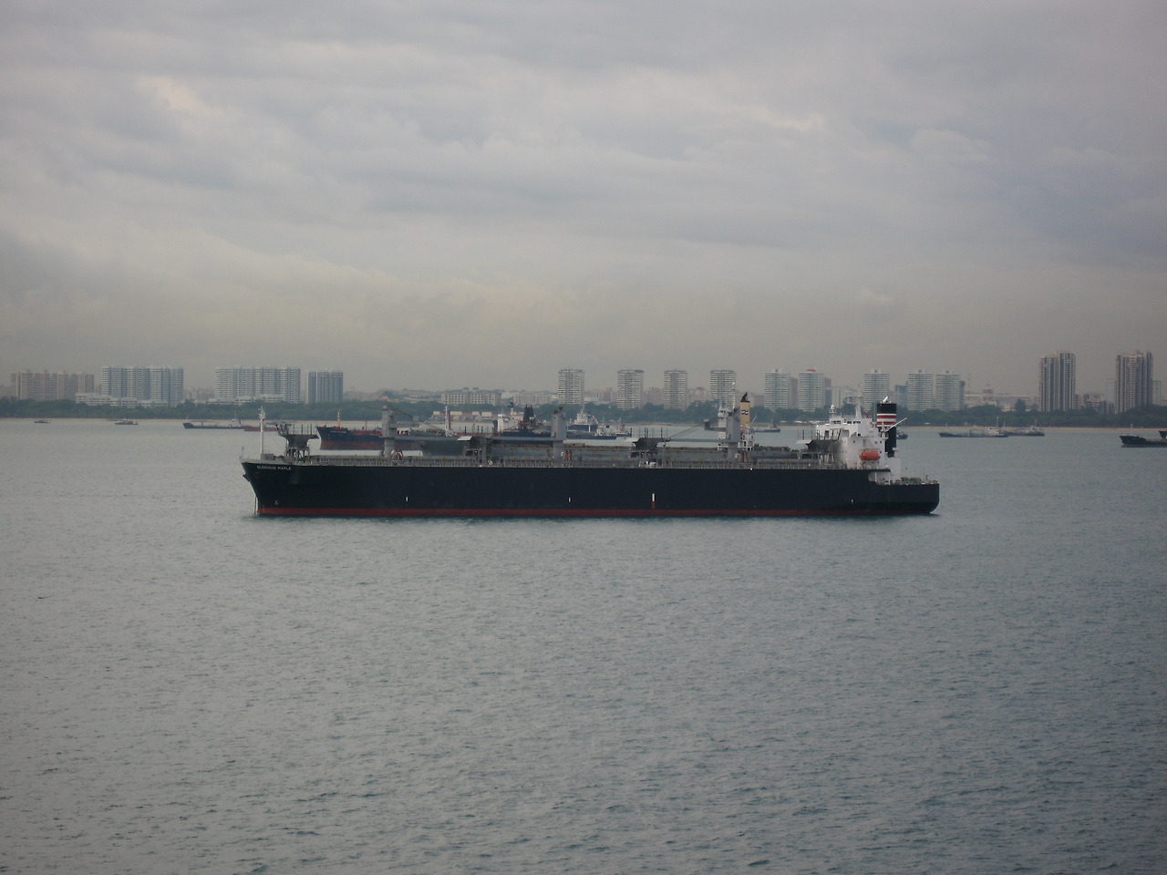 090410Gloria maple 배.jpg