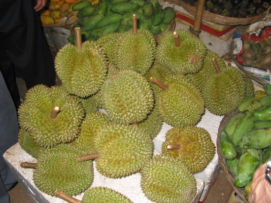 두리안.jpg