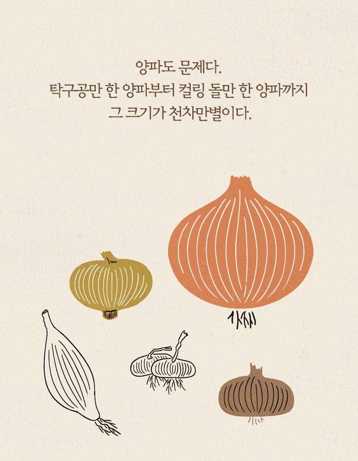 0429_또이레_북툰_12.jpg