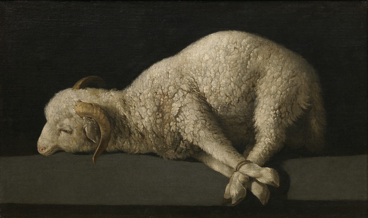 Agnus Dei_Francisco_de_Zurbarán_1635- 1640.jpg