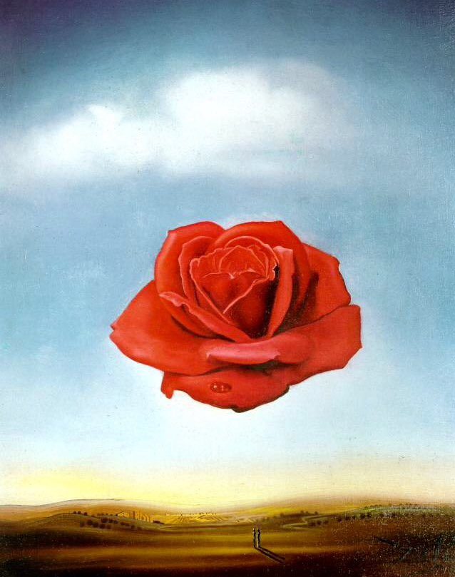 Salvador Dalí_The Meditative Rose_1958.jpg