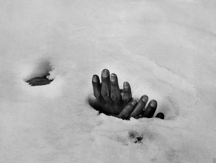Reaching Up from a Snowy Grave_Max Desfor’s.jpg