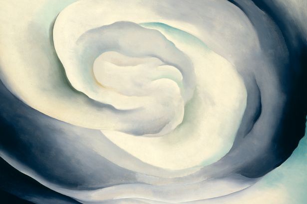 Abstraction-White-Rose-by-Georgia-OKeeffe.jpg