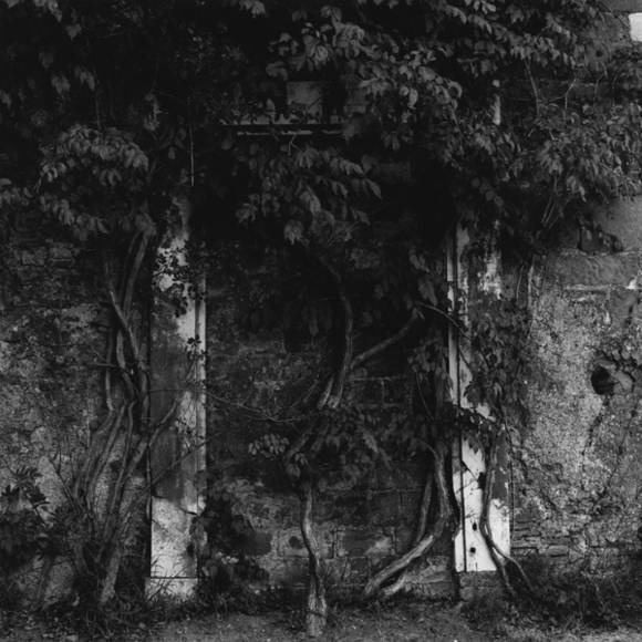 Fosdinovo _Cesare Di Liborio.jpg