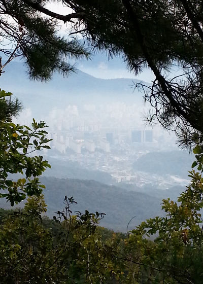 20131019_093839 사본.jpg