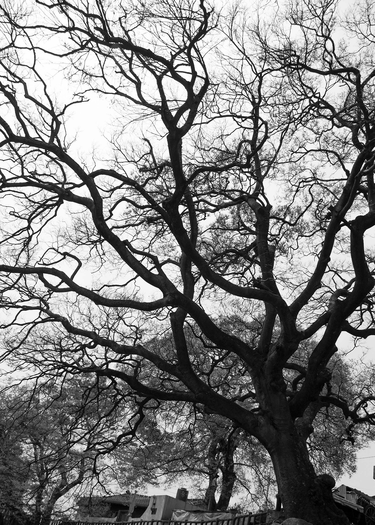 2아우리 사본.jpg