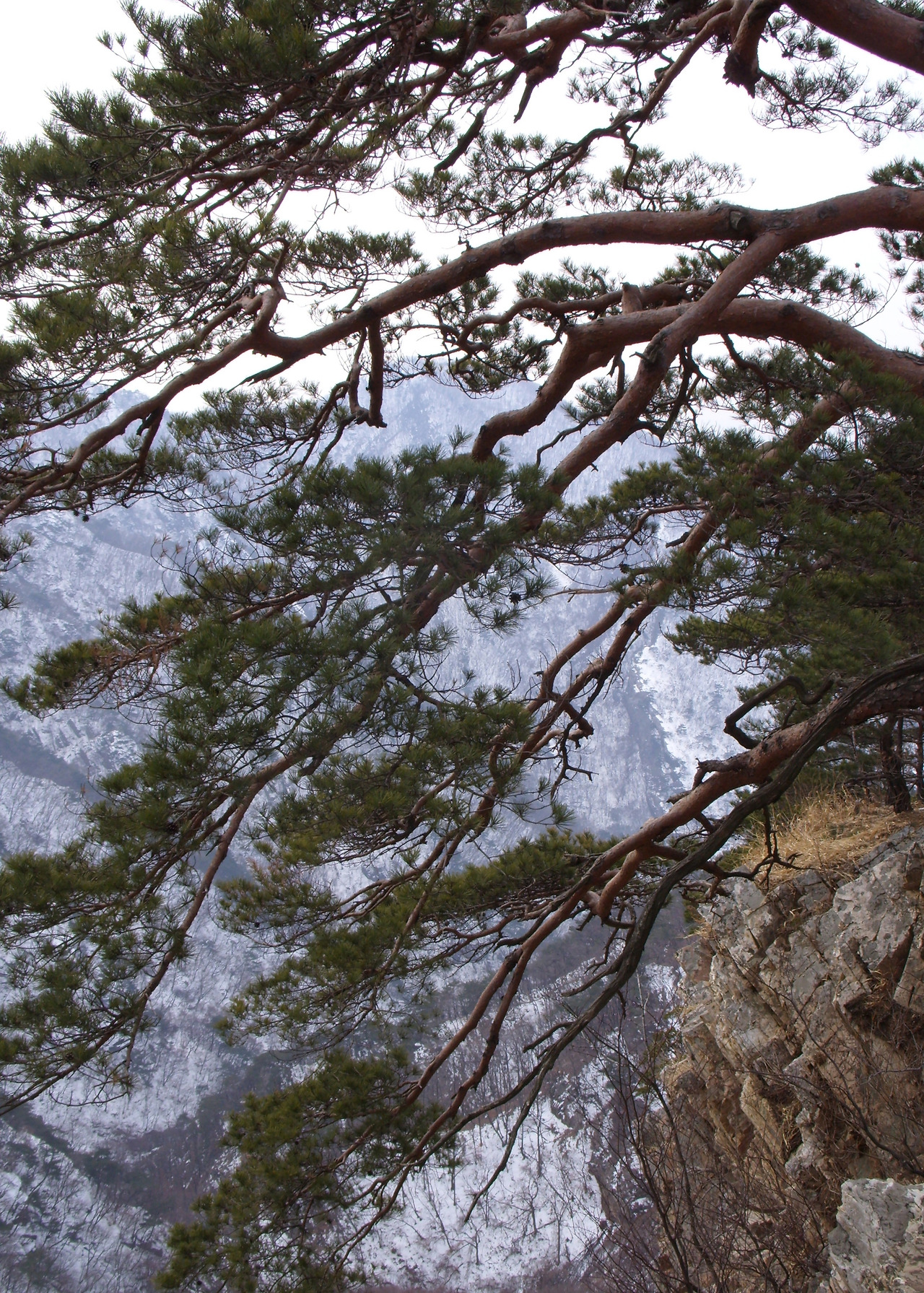 16-1가지 사본.jpg