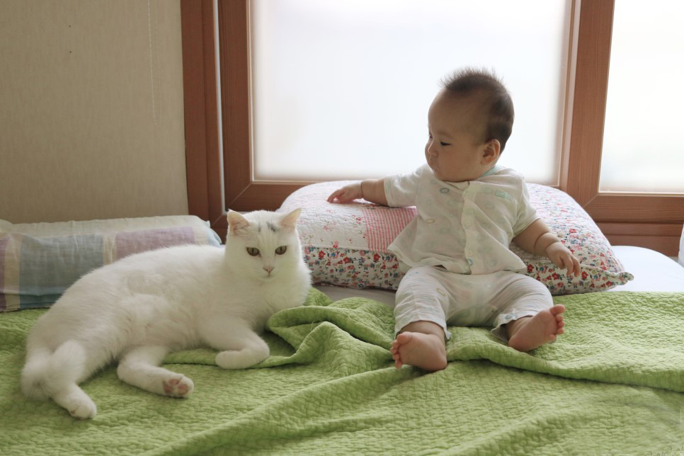 다운로드 (3).jpg