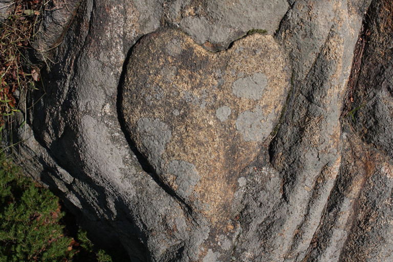 다운로드 (7).jpg